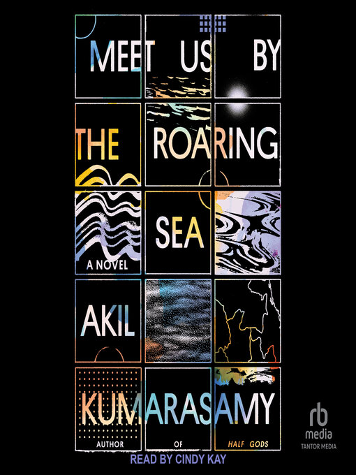 Title details for Meet Us by the Roaring Sea by Akil Kumarasamy - Available